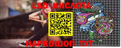 прущие грибы Краснодар