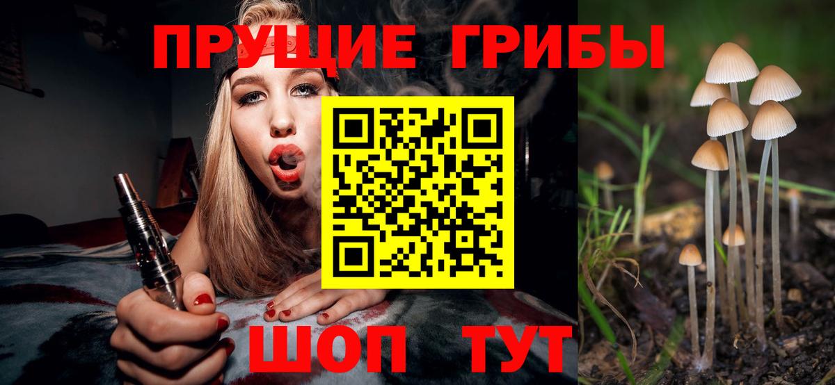 Псилоцибиновые грибы MAGIC MUSHROOMS  Вход с VPN  Ессентуки 